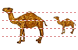 Camel icons