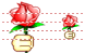 Rose icons